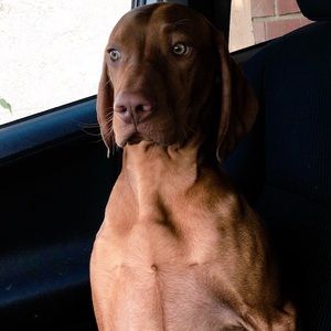 Meet your Posher, John